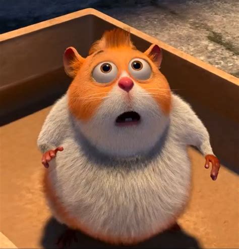 hamstermovie